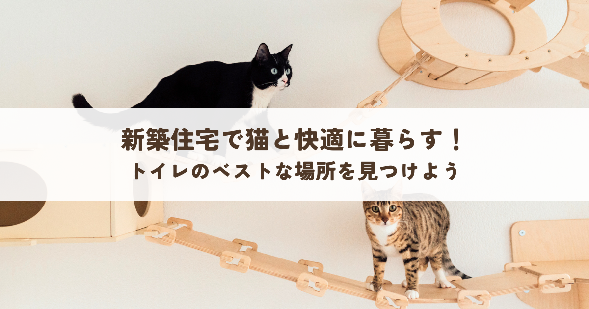 新築住宅で猫と快適に暮らす！トイレのベストな場所を見つけよう.png