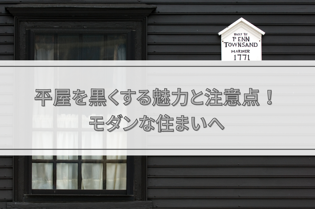 平屋を黒くする魅力と注意点！モダンな住まいづくりへのアプローチ