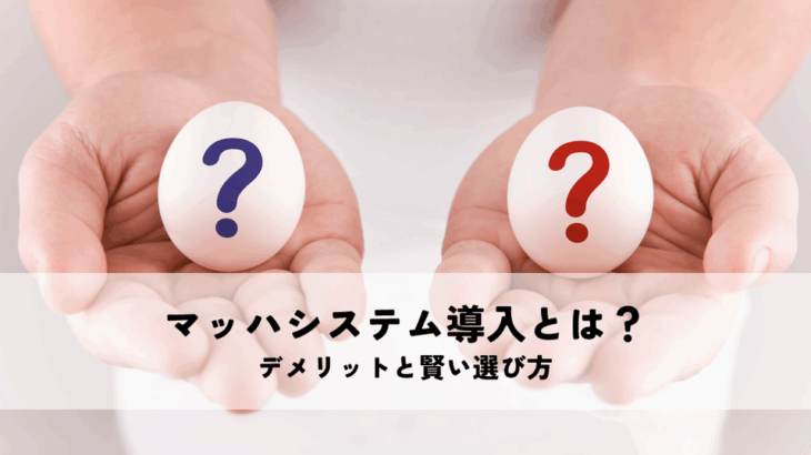 マッハシステム導入とは？デメリットと賢い選び方