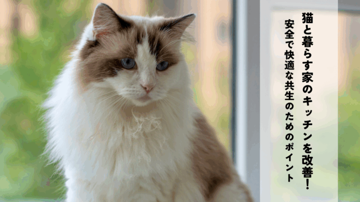 猫と暮らす家のキッチンを改善！安全で快適な共生のためのポイント